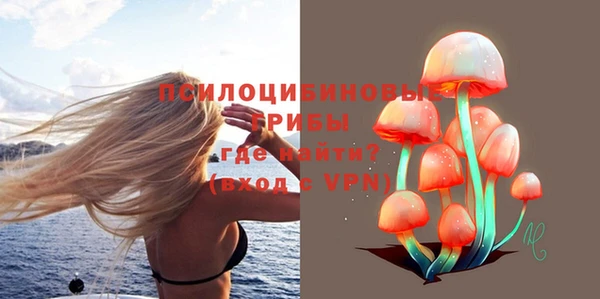 a pvp Алексеевка