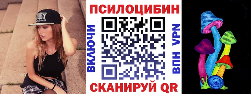 Псилоцибиновые грибы Psilocybe  гидра tor  Любань 