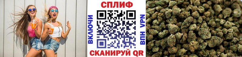 Бошки марихуана White Widow  Любань 